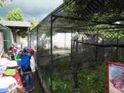 Výlet do ZOO Chleby a Labyrintária Loučeň